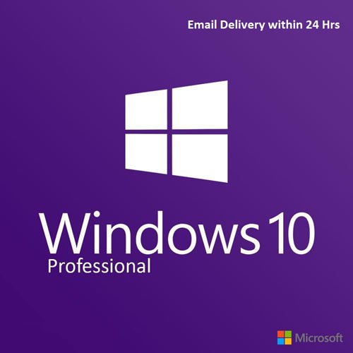 10的Windows专业版
