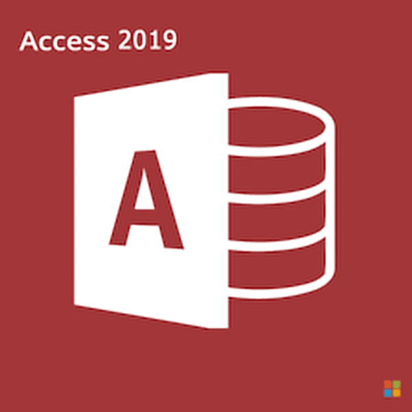 Microsoft Access 2019 Professional Plus