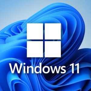 Microsoft Windows 11 Pro pour Workstation multilingue