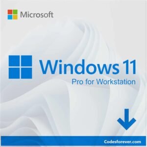 Windows 11 Pro For workstation