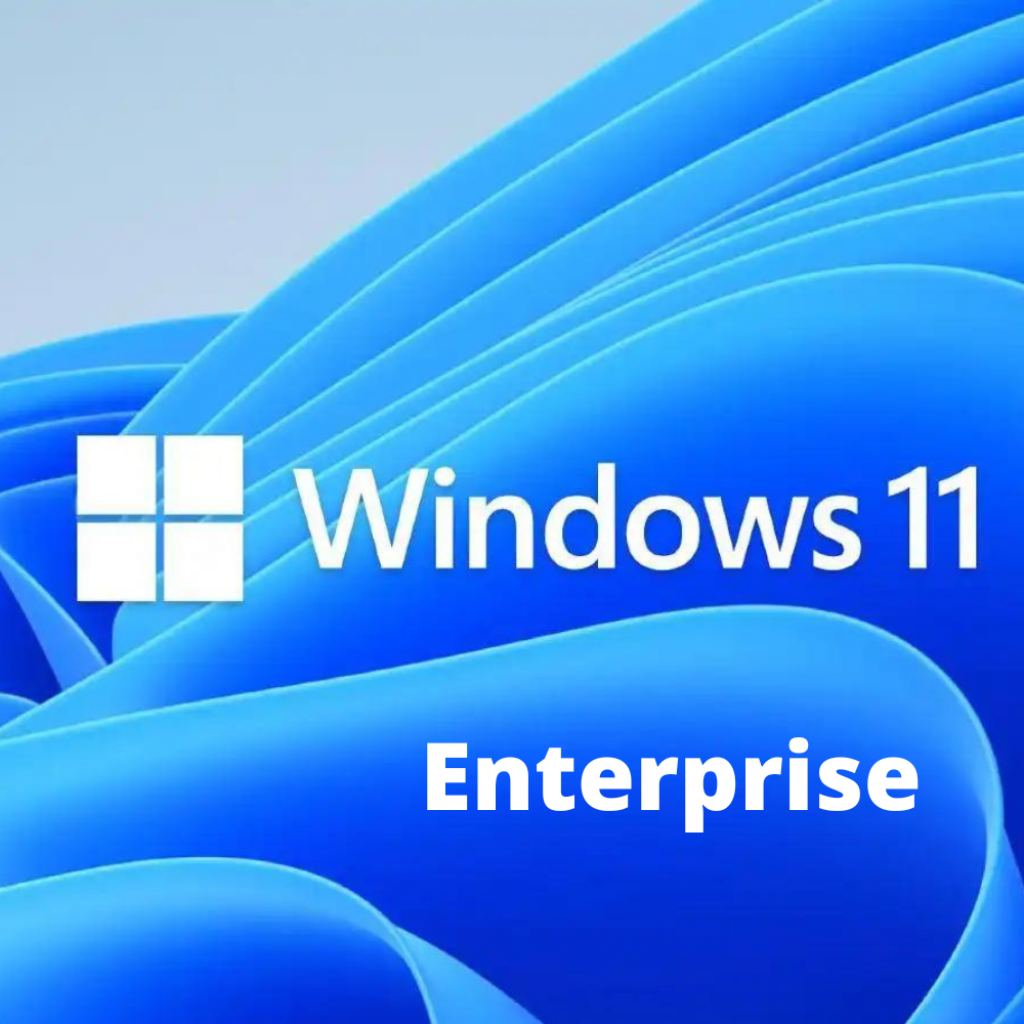 Windows 11 Enterprise